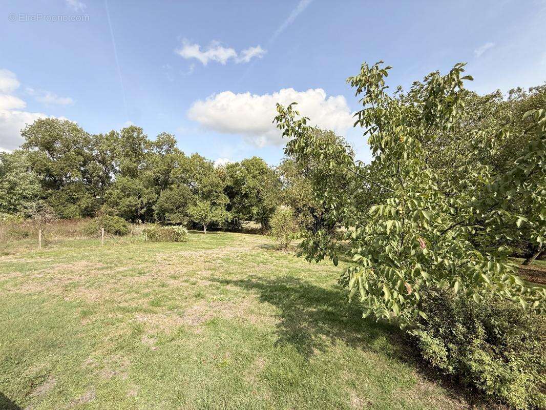 Maison à AUBETERRE-SUR-DRONNE