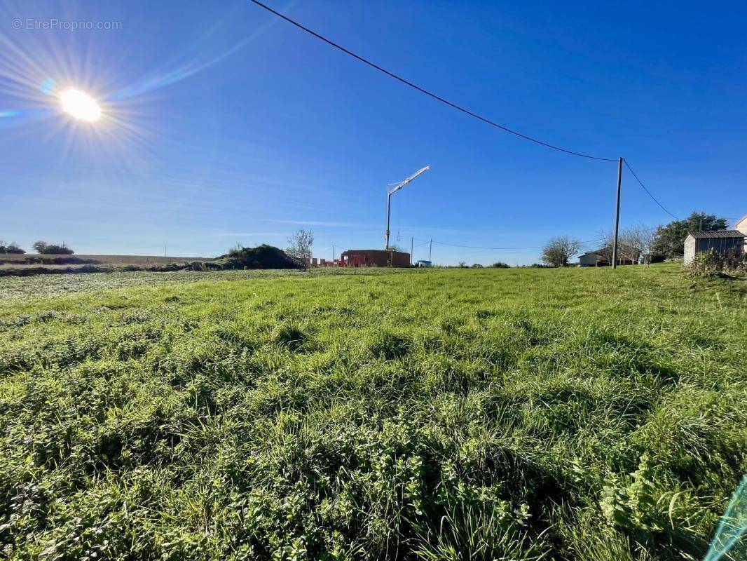 Terrain à BELLEGARDE