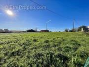 Terrain à BELLEGARDE