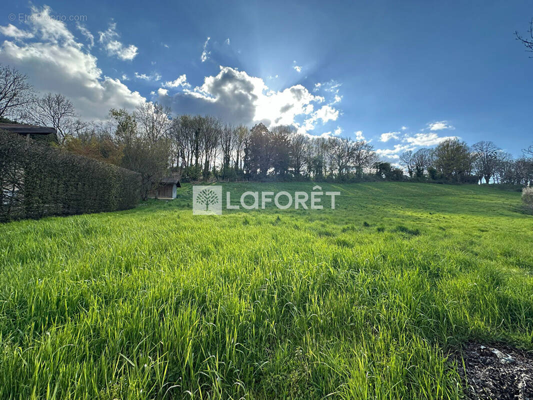 Terrain à CHATILLON-SUR-CHALARONNE