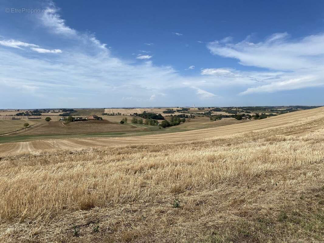 Maison à BEAUMONT-DE-LOMAGNE