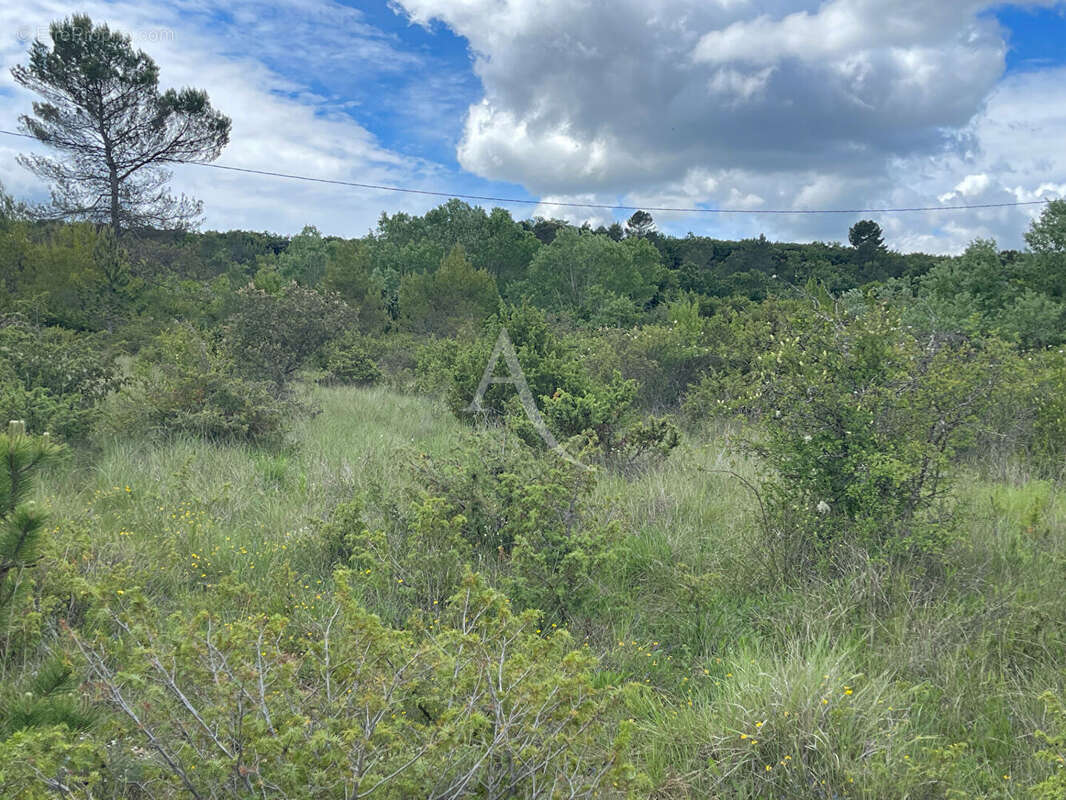 Terrain à SAINT-JULIEN