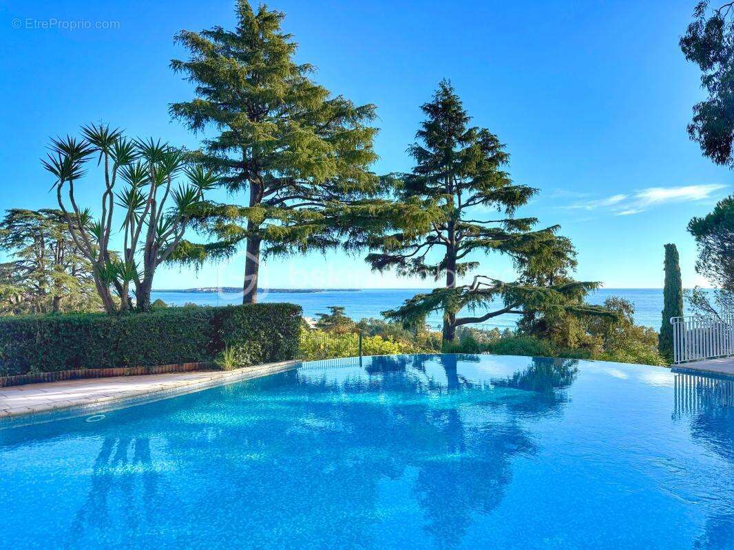 Cannes Croix-des-Gardes - Appartement 86m² - 3 pièces - Terrasse 43m² - vue mer - Piscine - Garage - photo 12