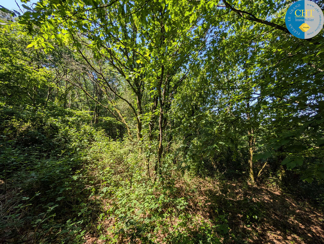 Terrain à BEIGNON