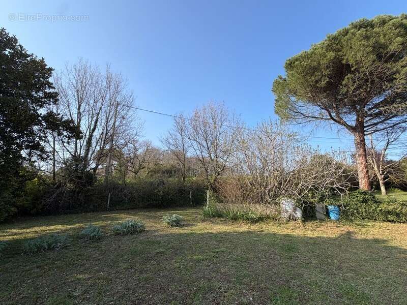Terrain à MAUZAC