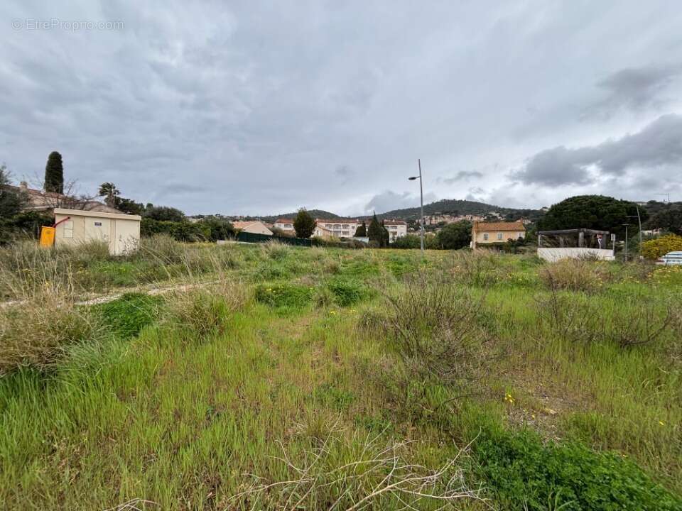 Terrain 415 m² à Bormes-Les-Mimosas  - photo 3