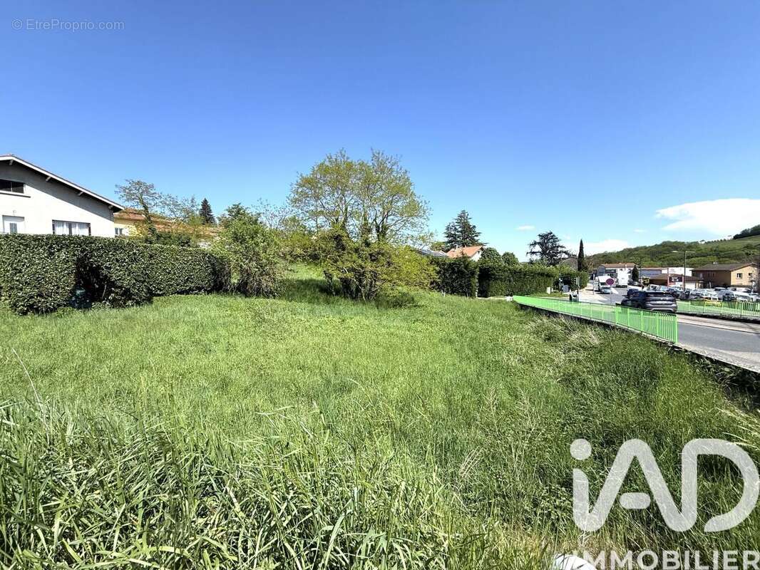 Photo 3 - Terrain à THURINS