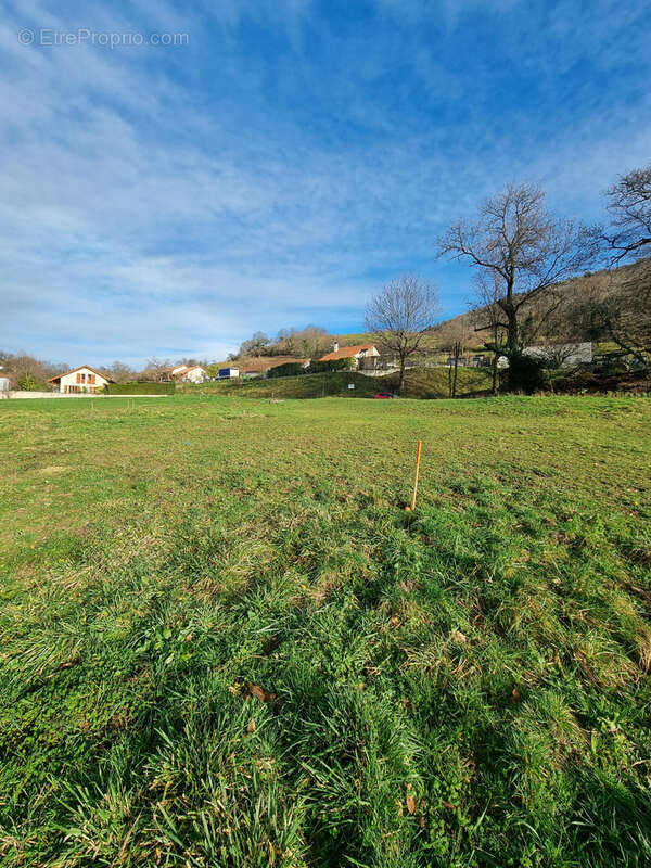 Terrain à JARRIE