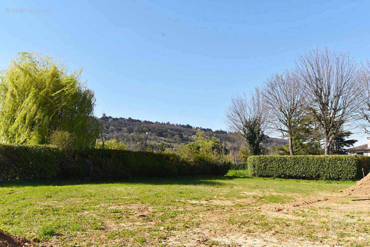 Terrain à SAINT-CYR-AU-MONT-D&#039;OR