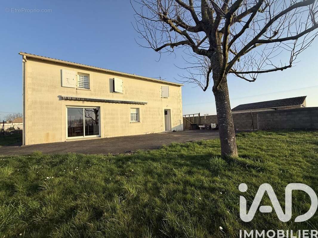 Photo 2 - Maison à CELLES-SUR-BELLE