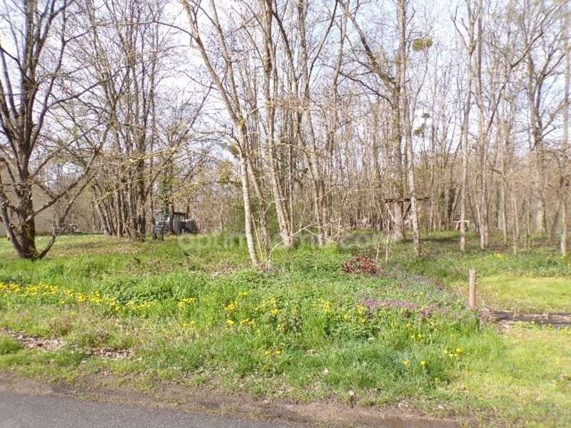 Terrain à BEAULIEU-SUR-LOIRE