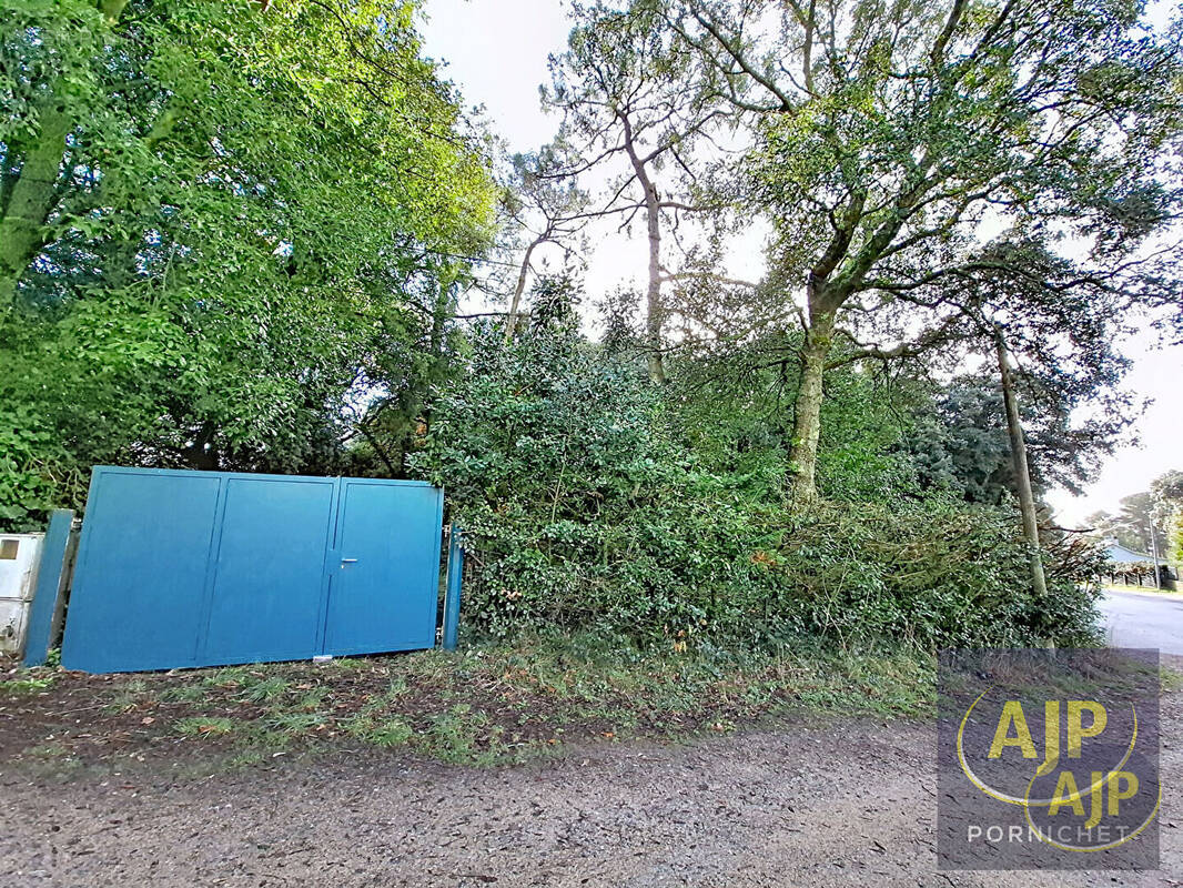 Terrain à SAINT-NAZAIRE