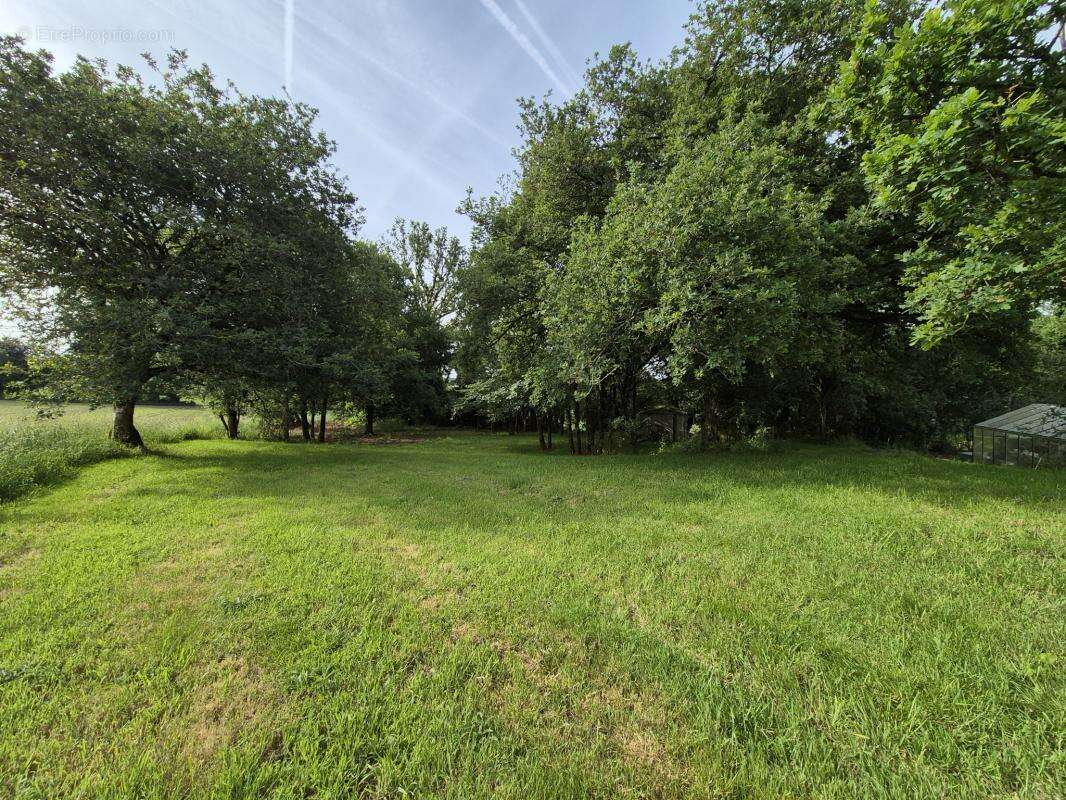 ncien Presbytère de Charme avec beaux volumes et terrain att - photo 7