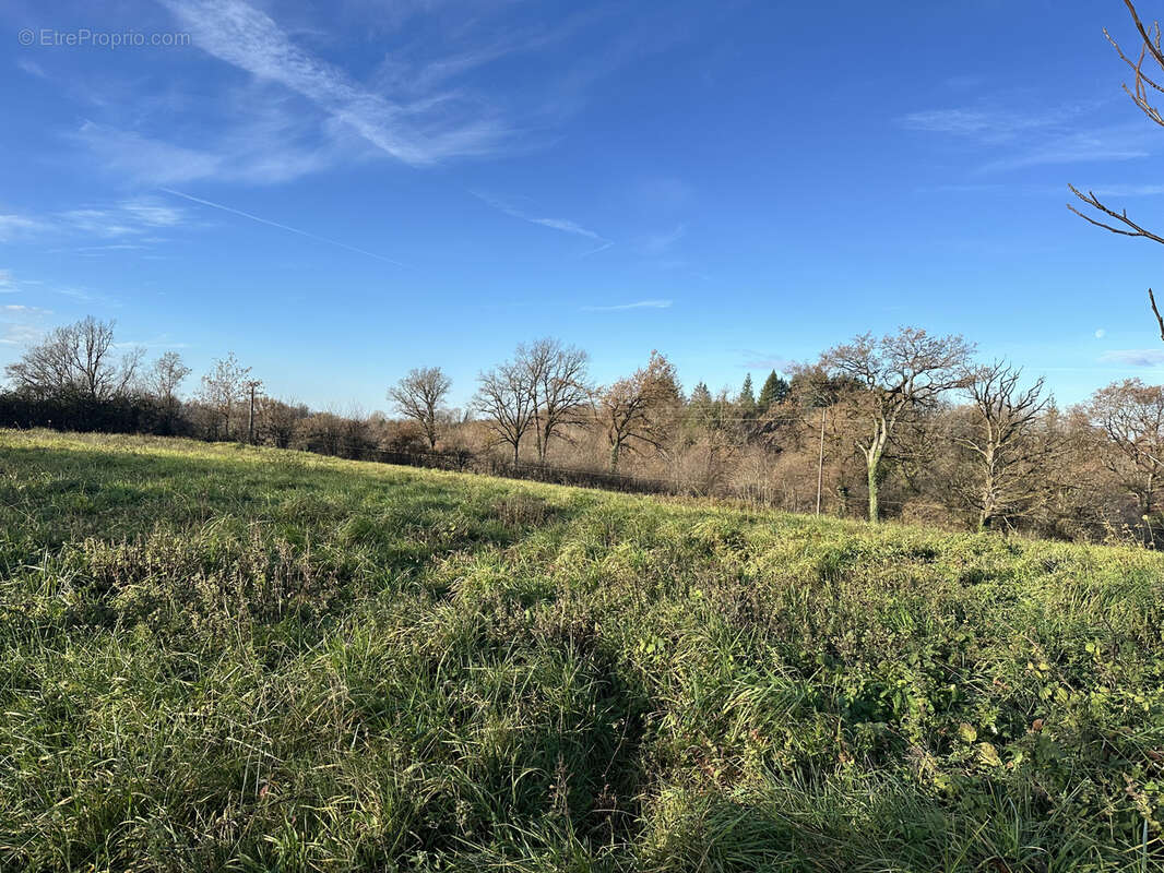 Terrain à LES ALBRES