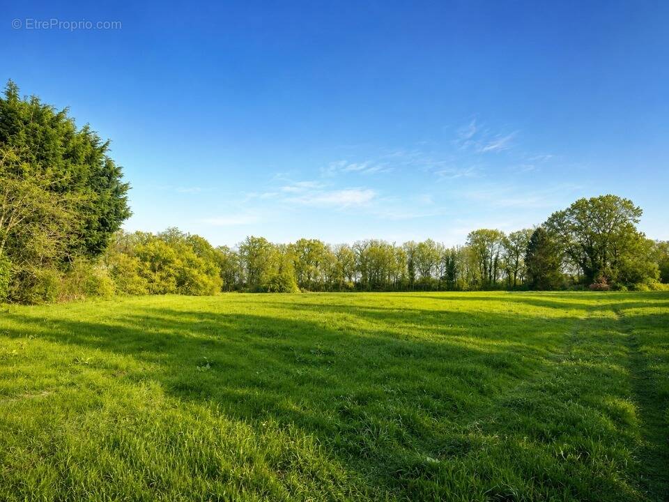 Terrain à ANGIENS