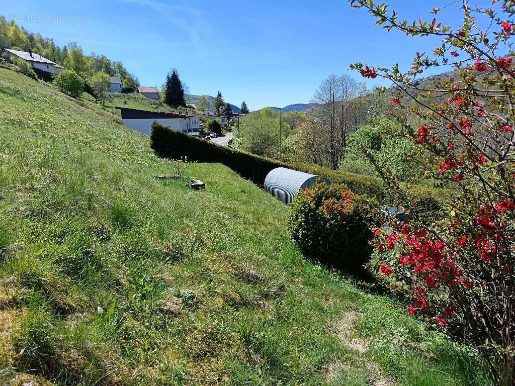 Maison à LA BRESSE