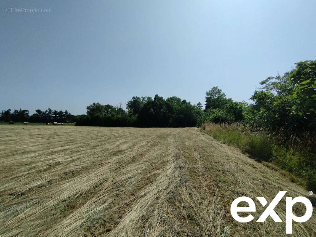 Terrain à CASTELNAU-MONTRATIER