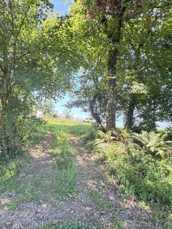 Nogaro(32) 7 km, ANCIENNE METAIRIE GASCONNE 280m2 dont 160m2 habtiables sur 4.5ha, au bout d'un long chemin, CACHEE, SANS VIS A  - photo 25