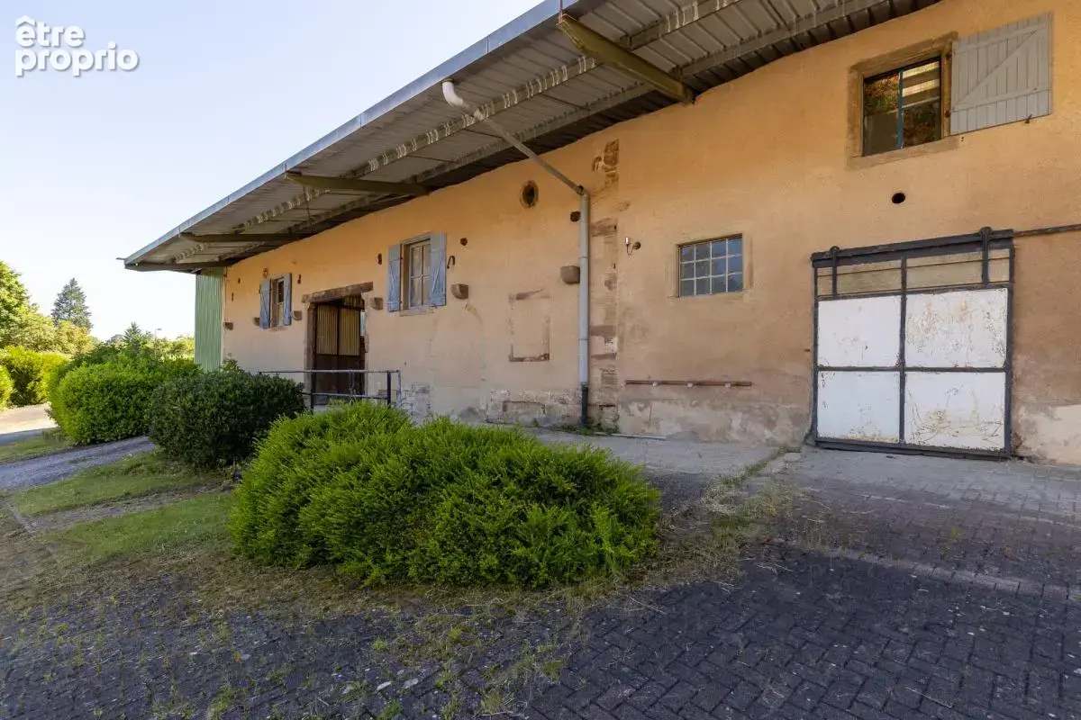 Domaine equestre - boxes-manege-carriere-appartement - photo 14