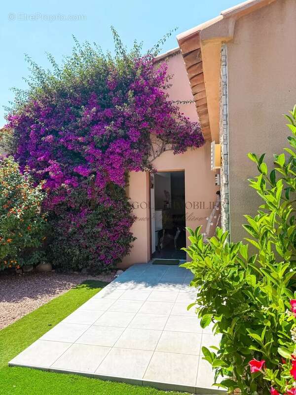 Maison à PORTO-VECCHIO