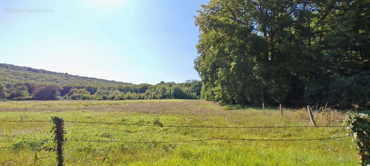 Maison 287 m² à Saint-Martin-D'ablois  - photo 2