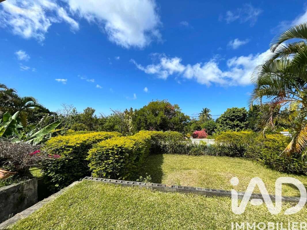 Photo 5 - Maison à SAINT-LOUIS