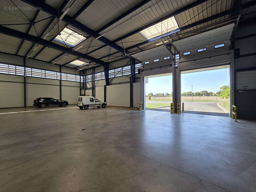 Commerce à BEAUCOUZE