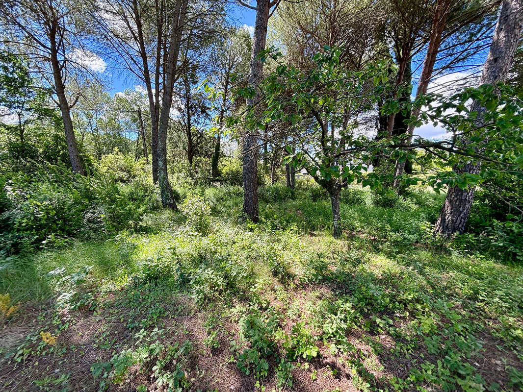 Terrain à PRADES-LE-LEZ