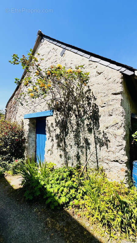 Maison à LE FAOU