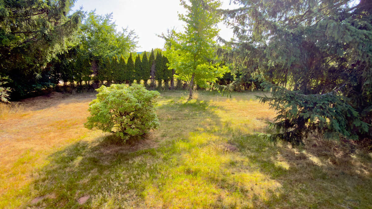 Rare sur le secteur ? situation dominante ? Commune de Saales - photo 2