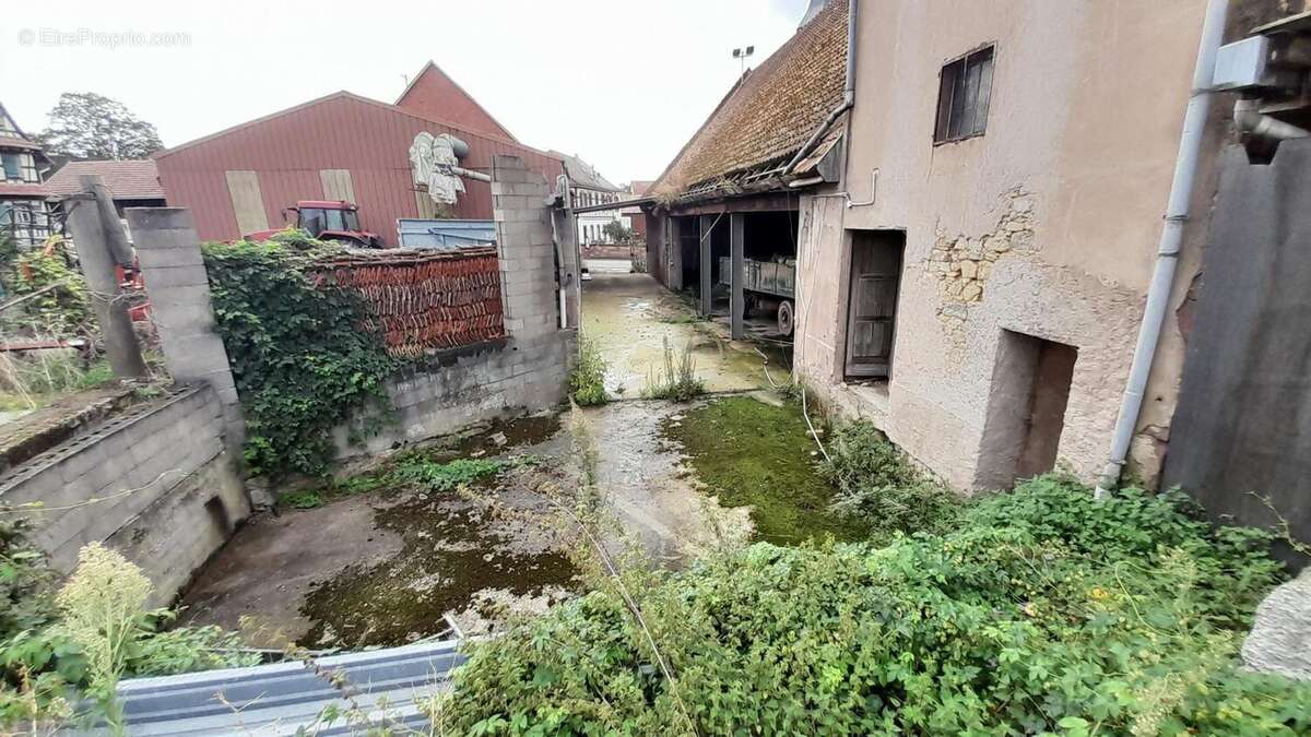 Photo 3 - Terrain à MITTELSCHAEFFOLSHEIM