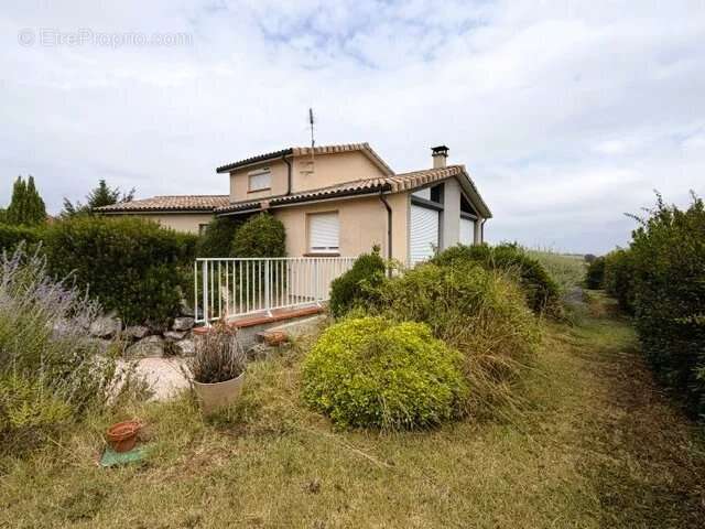 Belle contemporaine - photo 2
