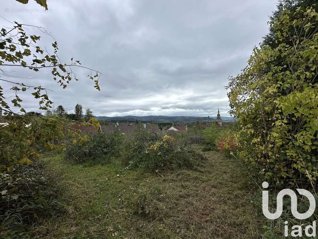 Photo 5 - Maison à PROVENCHERES-SUR-FAVE