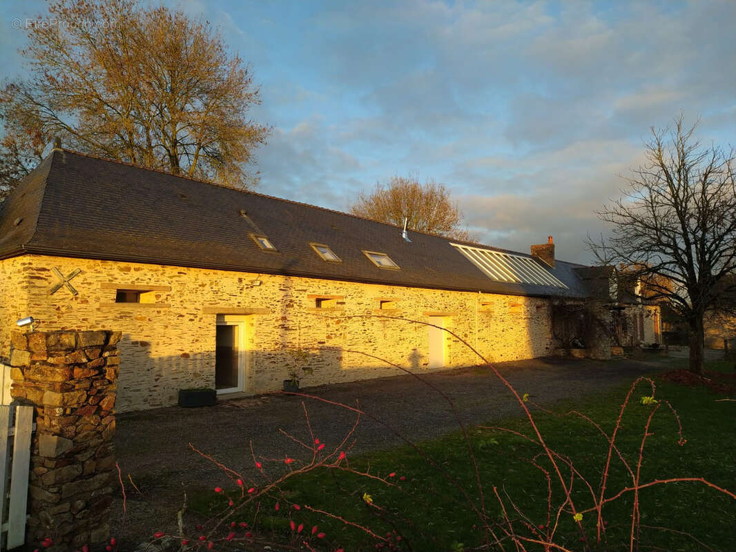 Belle propriété sur la commune de Loiré à 15 minutes de Segré - photo 2