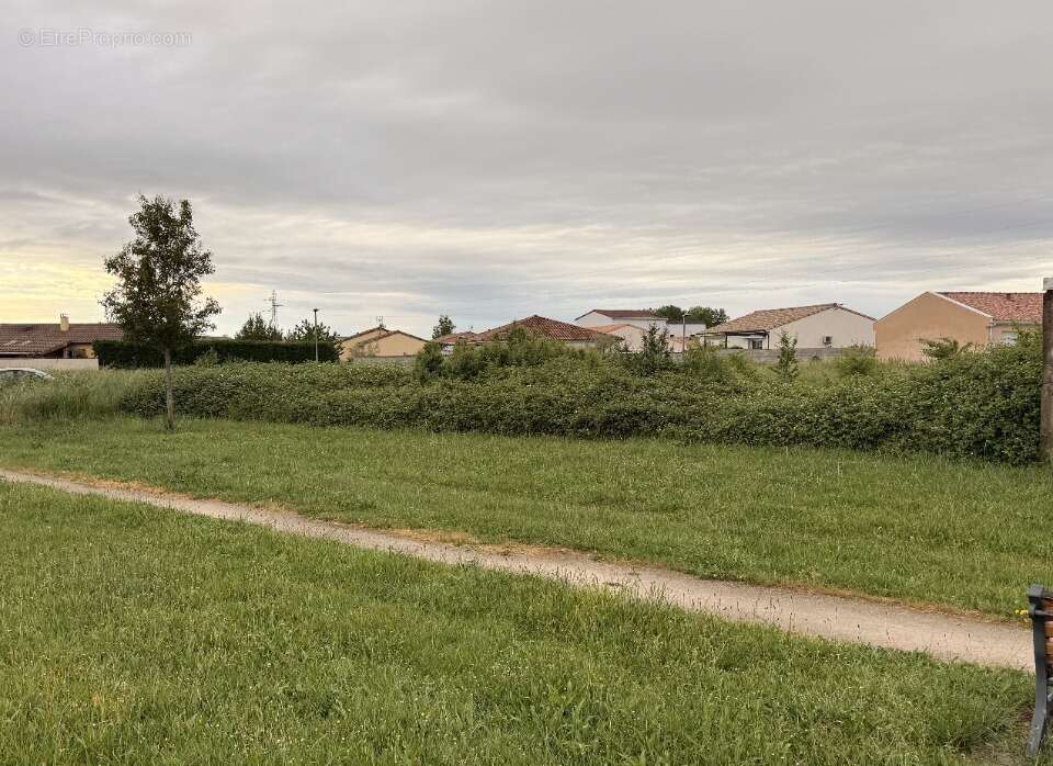 Terrain 419 m² à Revel  - photo 2