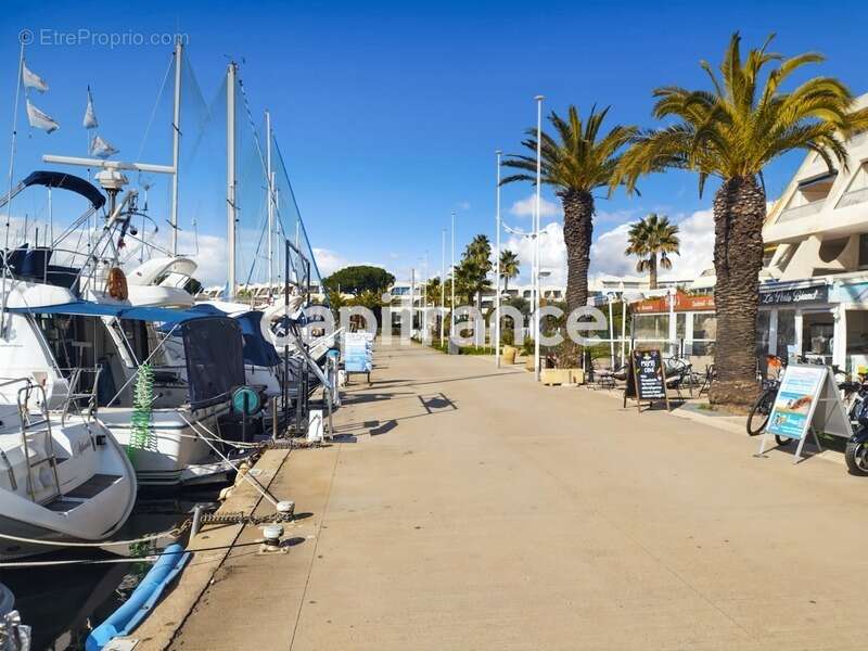 Commerce à LE GRAU-DU-ROI