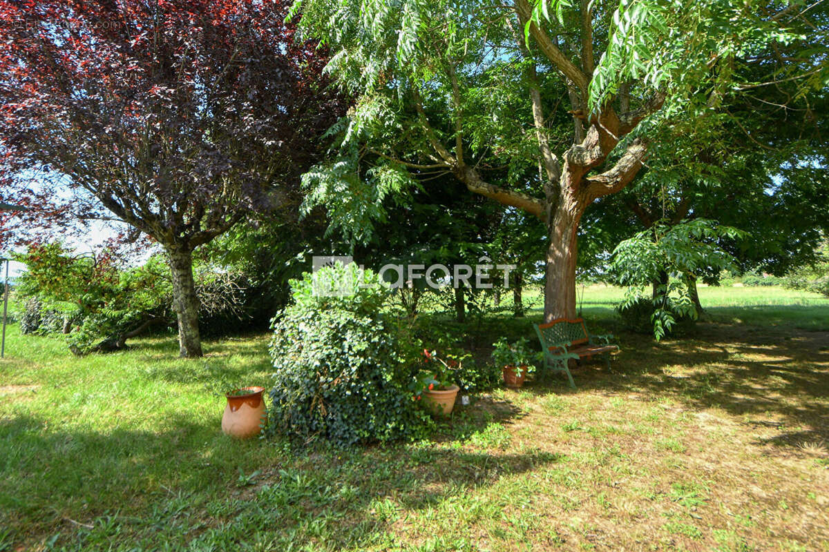 Maison à LISLE-SUR-TARN