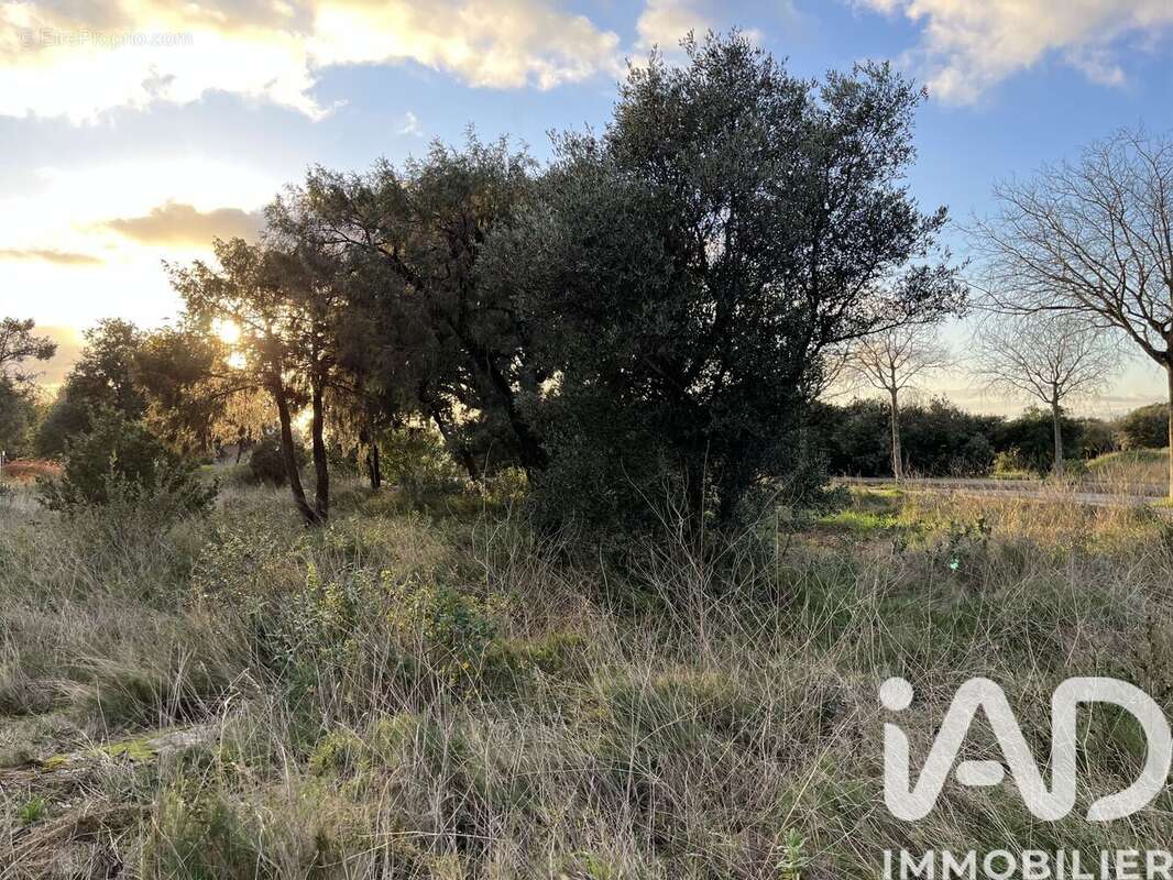 Photo 5 - Terrain à SAINT-MAXIMIN