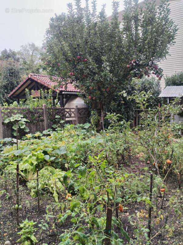 Appartement à MONTBELIARD