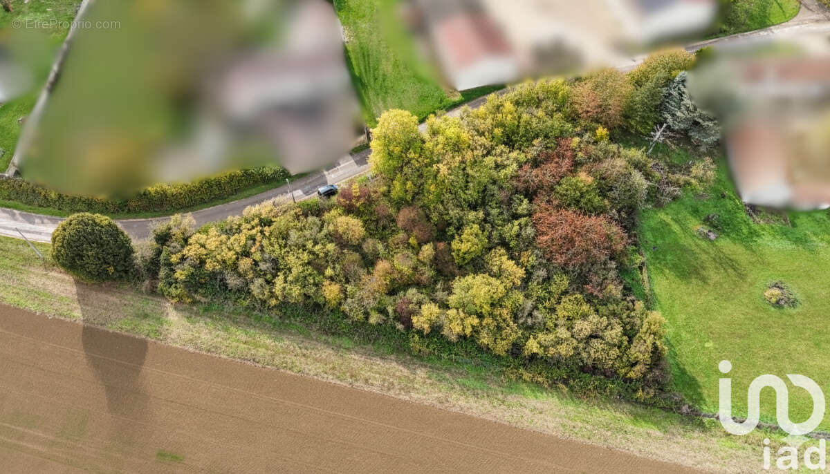 Photo 2 - Terrain à AVANT-LES-MARCILLY