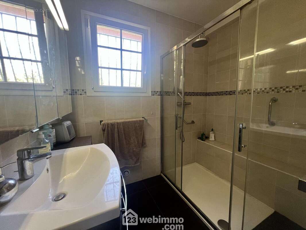 La salle d'eau a été rénovée - Maison à SAN-MARTINO-DI-LOTA