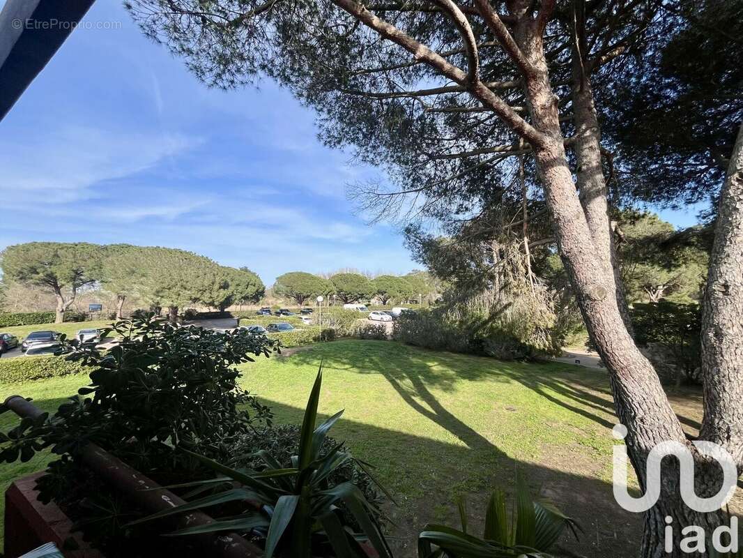 Photo 4 - Appartement à SAINT-CYPRIEN