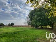 Photo 1 - Terrain à CASSEL