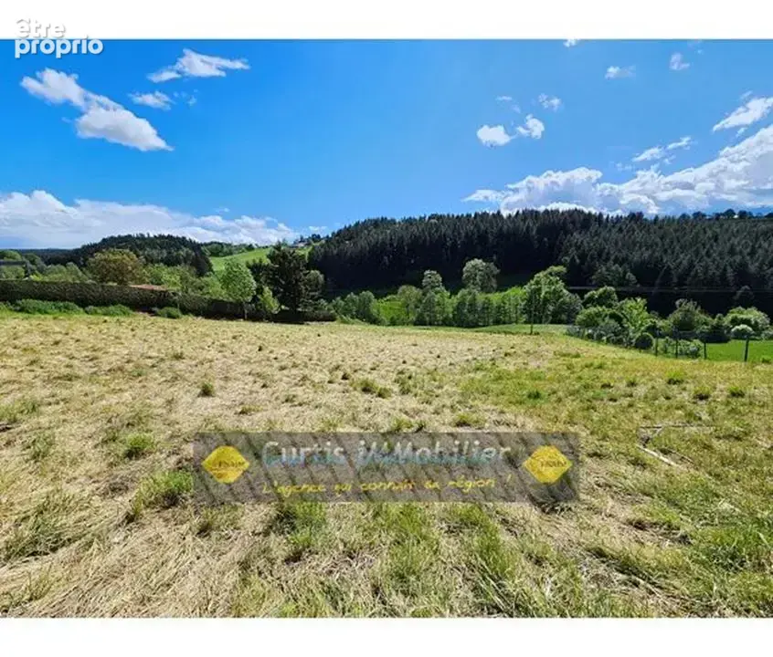 Terrain 1100 m² à Saint-Just-Malmont  - photo 3