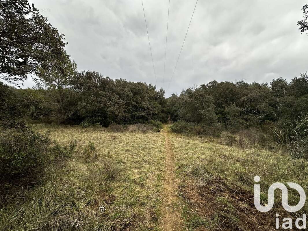 Photo 4 - Terrain à BERNIS