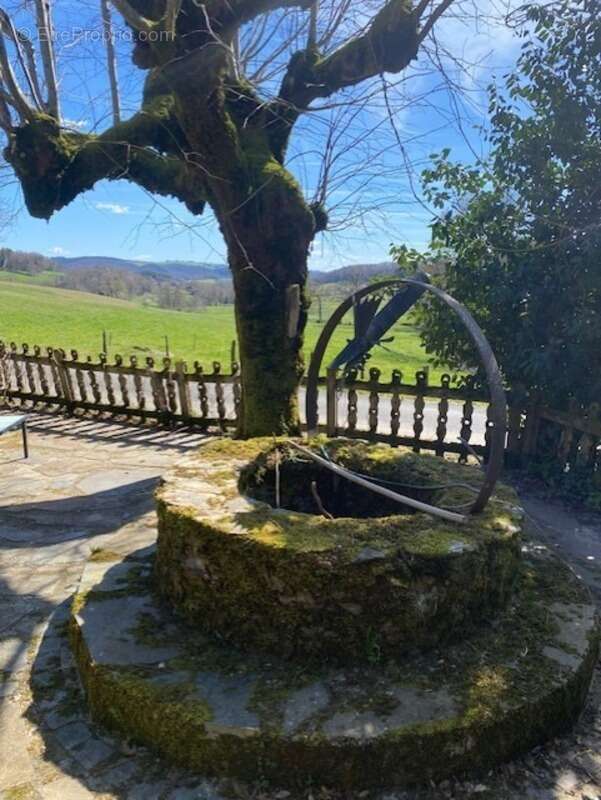 RARE:  Moulin auvergnat authentique au bord d'un ruisseau - photo 17