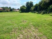 Terrain à ESCOEUILLES