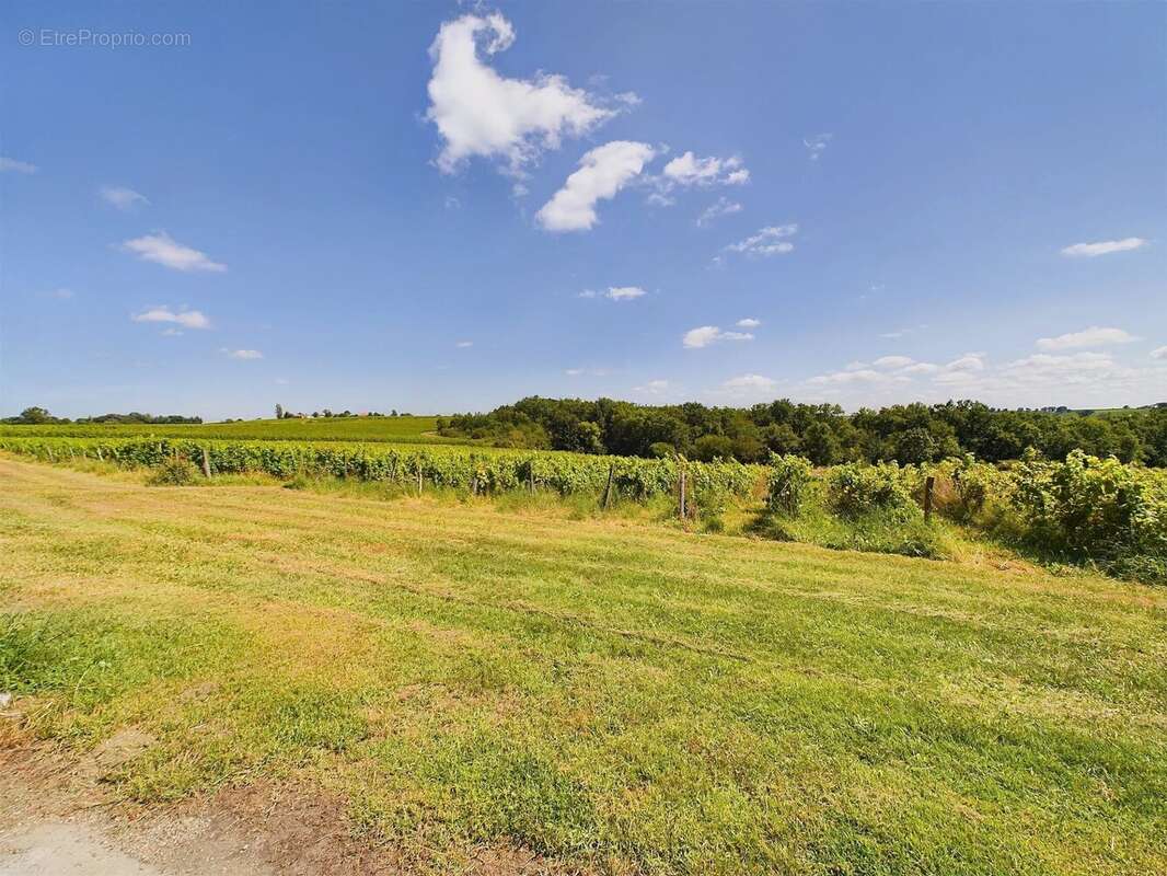 Propriété en position dominante - 3 logements - environ 18 Hectares- Piscine - - photo 14