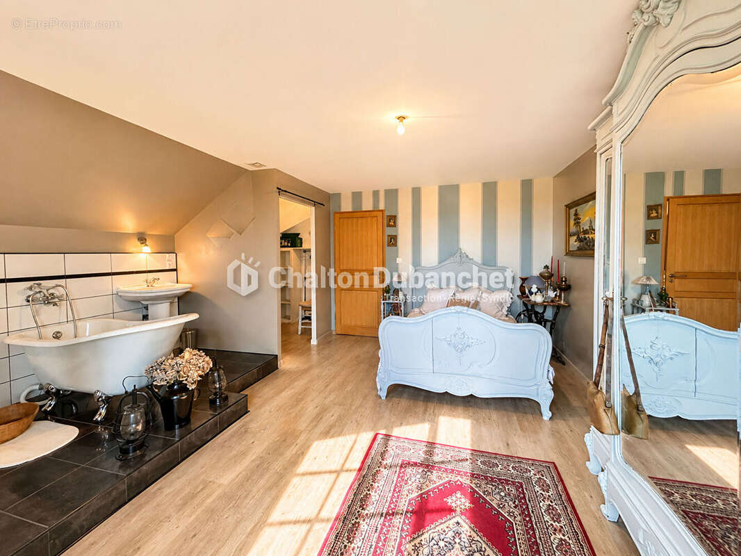 MONTAIGUET EN FOREZ - Maison de 330 m² sur  35000 m² de terrain et deux étangs - photo 4