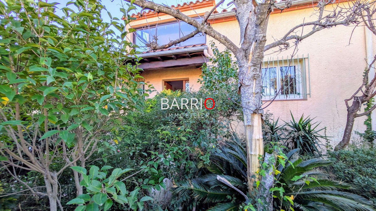 Maison à LAROQUE-DES-ALBERES